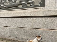 -岳阳市博物馆