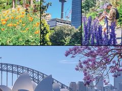 -悉尼歌剧院