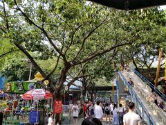 -顺德大良半月城游乐场