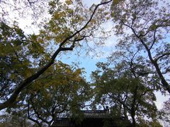 -西湖天地