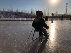 -绿野森林乐园冰雪季