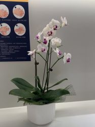 -杭州米兰柏羽医疗美容医院