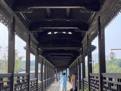 -八大山人梅湖景区