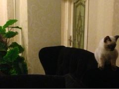 iphone_upload_pic-吱咖啡西式简餐