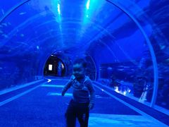 -成都浩海立方海洋公园