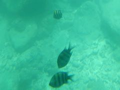 -亚龙湾海底世界