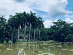 -中国科学院西双版纳热带植物园