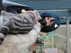 -怪兽屋·羊驼·猫咖·狗咖(俊华广场店)