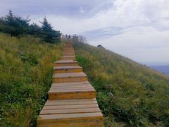 -白草畔自然风景区