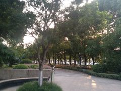 -玉山公园