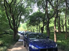 -富君租车(外滩店)