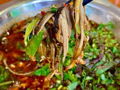 -乐山第一家临江鳝丝(茶坊路店)