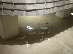 -瓦库茶馆17号(海汇港店)