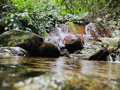 -梧桐山风景名胜区