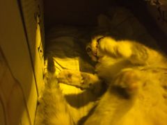 -在路上酒吧(大理古城店)