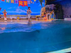 -三亚海昌梦幻海洋不夜城