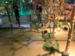 -酷嗒动物文化乐园(cutezoo西溪乐天城店)