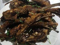 -席家花园(巨鹿花园店)