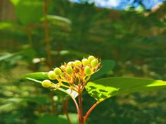 -杜氏旅游度假区