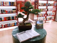 -二酉书店TOYOU BOOKS