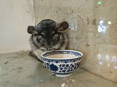 -宁波九龙湖开元度假村
