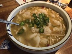 酸汤鱼-Mountain House East Village 川山甲