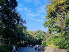 -广州市白云山风景名胜区