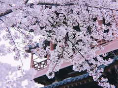 -西安青龙寺遗址景区