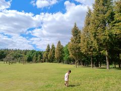 -黄海国家森林公园