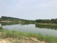 -东郊湿地公园