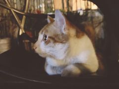 -虚荣精酿酒屋(五羊店)