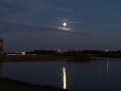 -春花秋色城市公园