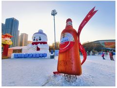 -沈阳奥体冰雪嘉年华