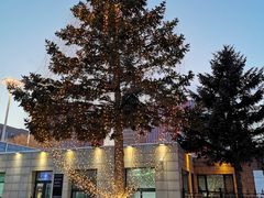 -长春世界雕塑园冰雪艺术天地