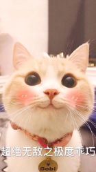 -甲舍美甲美睫艺术馆