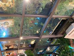 -海岛八号龙虾烧烤田鸡(蓝天路总店)