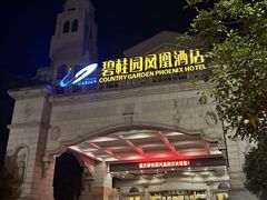 -重庆长寿碧桂园凤悦凤凰酒店