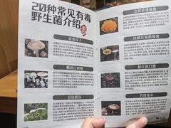 -一朵菌·野生菌探索家火锅(南亚店)