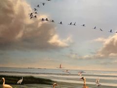 -中国湿地博物馆