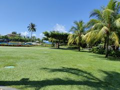 -渔家火锅·海鲜自助餐·演艺(亚龙湾天域酒店)