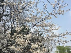 -御花园·粤菜·海鲜火锅(中山公园店)
