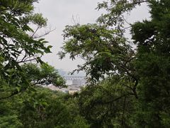 -西尖山公园