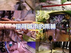 -正佳雨林生态植物园
