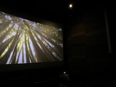 -中影国际影城(东方新天地CINITY店)