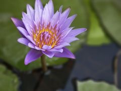 -北海公园