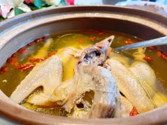 -同庆楼(金宝汇店)