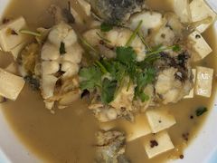 -煲来饱去冷水鱼