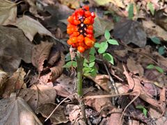 -大连冰峪旅游度假区