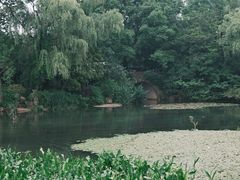 -中国茶叶博物馆(双峰馆区)