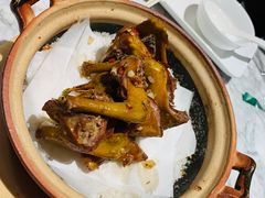 -大鸽饭(体育西路店)